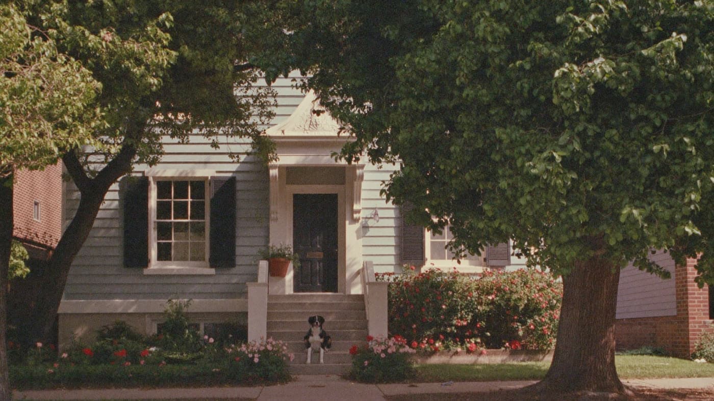 A black and tan Cavalier resting on the steps of a craftsman house with roses