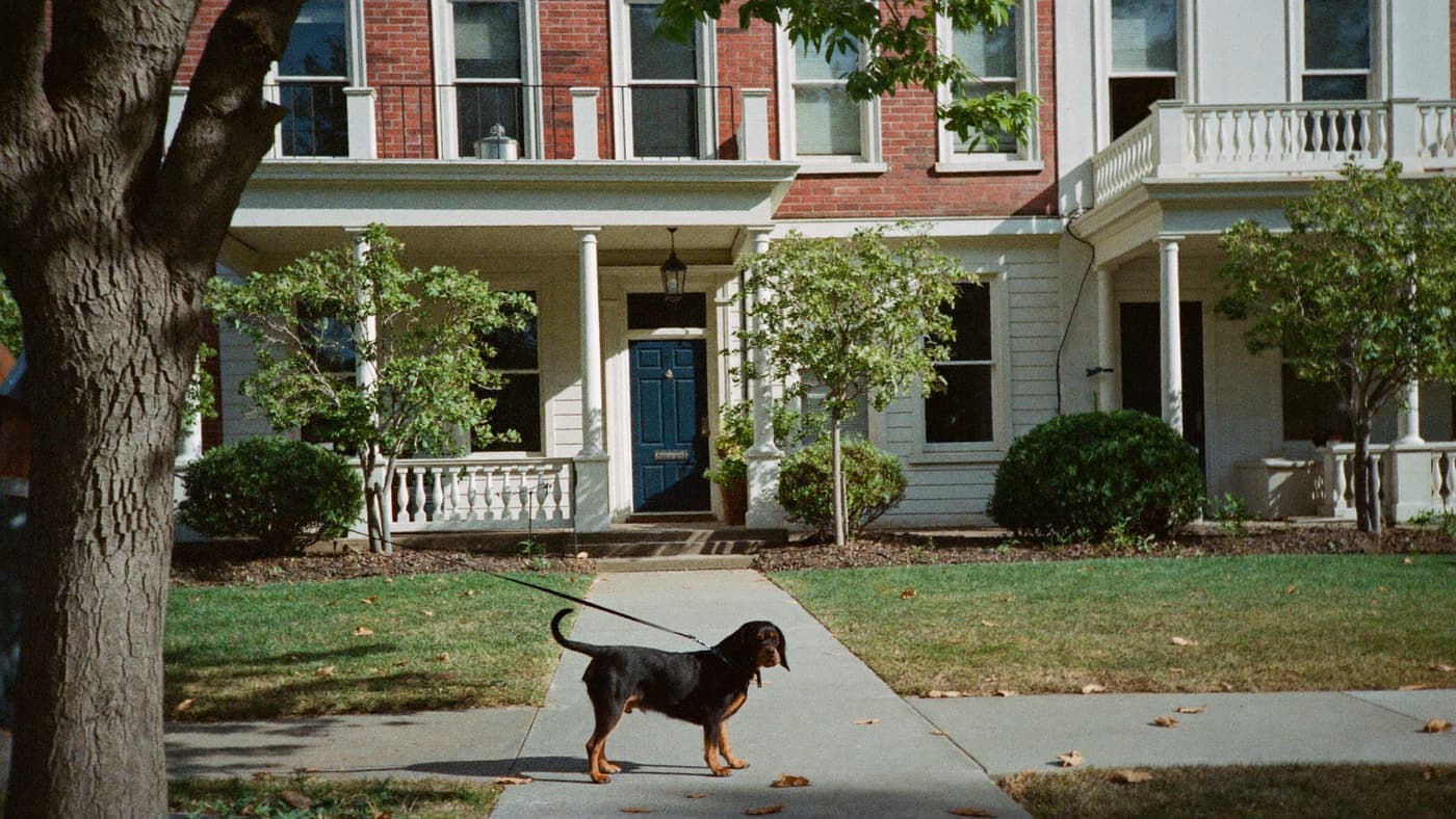 A black and tan Cavalier walking past old-town craftsman porches with orange trees